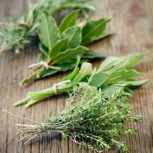 Growing your own herbs for health